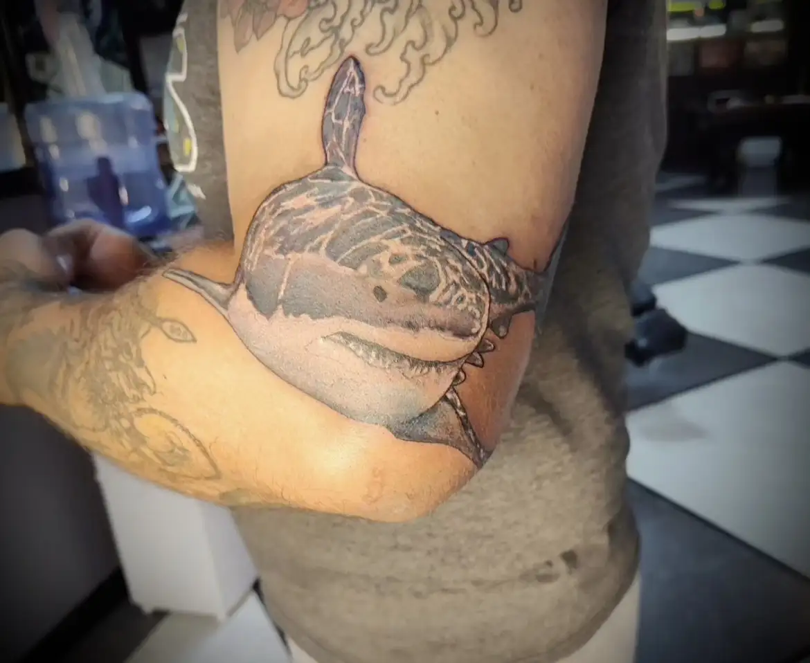 BL-ink Tattoo Colorado Springs upper-arm piece: realistic great white shark wrapping around the elbow